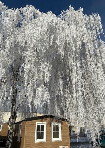 Vykurovanie Heatflow fóliami v mobilnom dome | Efektívne a cenovo výhodné riešenie